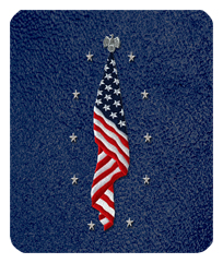 DF35 421 SH BL Flag at Rest Shimmer Blue